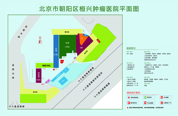 污污搞鸡巴视频爽爆操爆操爽北京市朝阳区桓兴肿瘤医院平面图